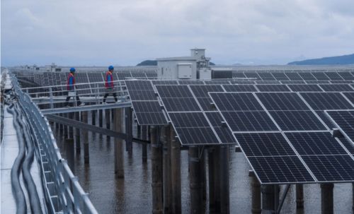 浙江大型光伏項目實現上層發電與下層水產養殖協調發展